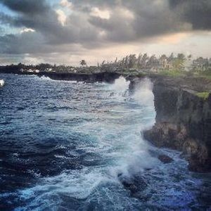 Meet your Posher, Kellie